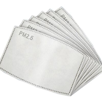 PM2.5 ACTIVATED CARBON FILTER Thumbnail