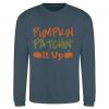 Men's Sweatshirt  Thumbnail