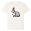 RE-Creator organic cotton t-shirt (STTU787) Thumbnail