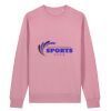 Unisex Changer 2.0 iconic crew neck sweatshirt (STSU178) Thumbnail