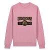 Unisex Changer 2.0 iconic crew neck sweatshirt (STSU178) Thumbnail