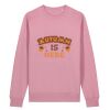 Unisex Changer 2.0 iconic crew neck sweatshirt (STSU178) Thumbnail