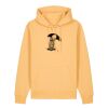 Unisex Cruiser 2.0 iconic hoodie sweatshirt (STSU177) Thumbnail